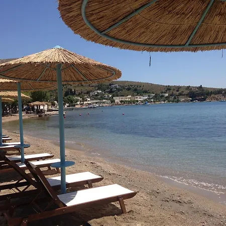 Hotel Alea Mare 3*