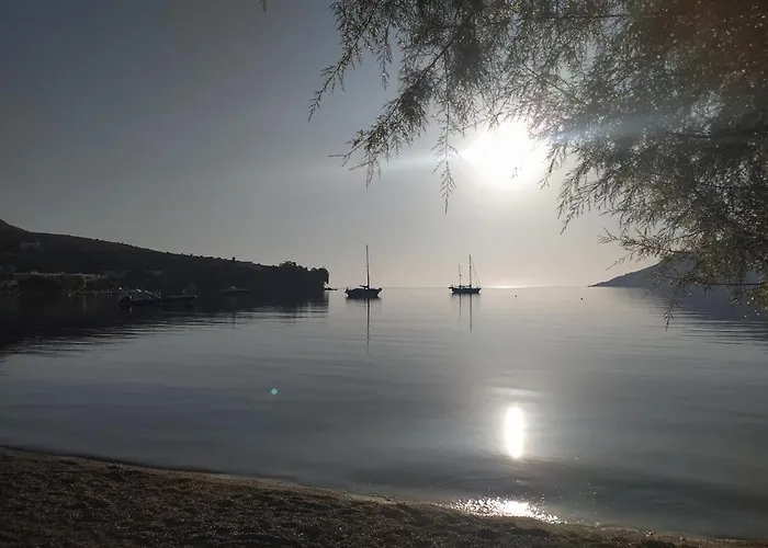 Alea Mare