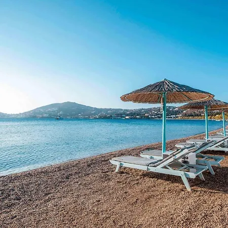 Alea Mare فندق