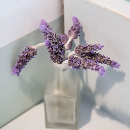 Alea Mare Alinda (Leros)