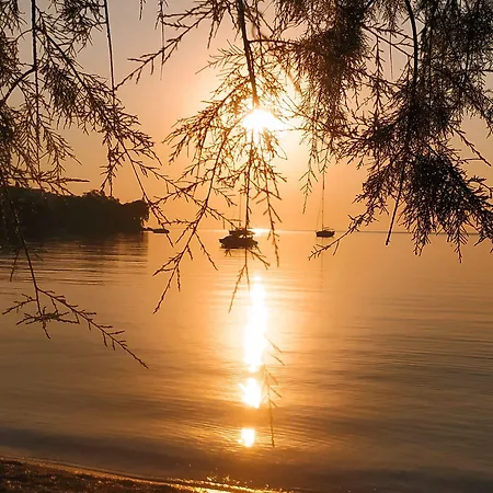 호텔 Alea Mare 알린다