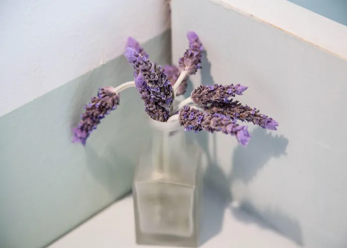 Alea Mare Alinda (Leros)